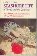 Seller image for Seashore Life of Florida and the Caribbean for sale by Callaghan Books South