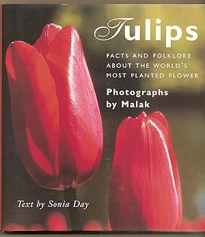 Tulips Facts and Folklore About the World's Most Planted Flower