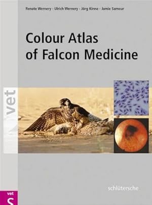 Seller image for Colour Atlas of Falcon Medicine for sale by AHA-BUCH GmbH