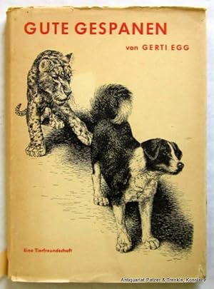 Imagen del vendedor de Gute Gespanen. Die Geschichte einer Tierfreundschaft. Aarau, Sauerlnder, (1945). Mit Illustrationen von Walter Linsenmaier. 105 S. Illustrierter Or.-Pp. mit Schutzumschlag; dieser gebrunt u. mit Randeinrissen. a la venta por Jrgen Patzer