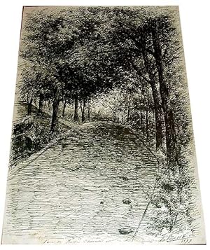 Dessin à l'encre de chine - Signé à déchiffrée - Intitulé Parc des Buttee-Chaumont.