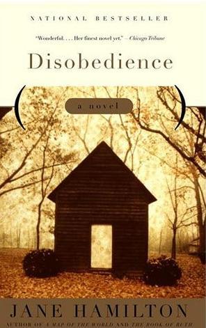 Seller image for Disobedience for sale by Bookmarc's