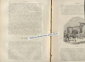 Image du vendeur pour Histoire Naturelle Extraite De Buffon et De Lacepede , Quadrupedes, Oiseaux, Serpents, Poissons et Cetaces. mis en vente par Malcolm Books