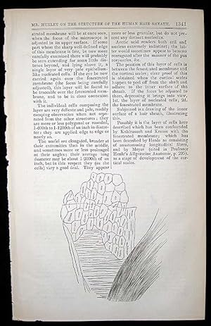 "On a hitherto undescribed structure in the human hair sheath." In London Medical Gazette, Vol. 36