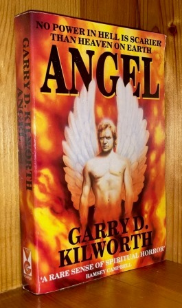 Imagen del vendedor de Angel: 1st in the 'Angel' series of books a la venta por bbs