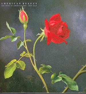 American Beauty The Rose In American Art,1800-1920