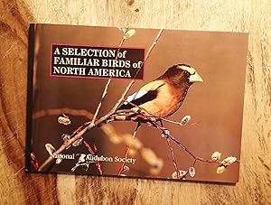 Seller image for A SELECTION OF FAMILIAR BIRDS OF NORTH AMERICA for sale by 100POCKETS