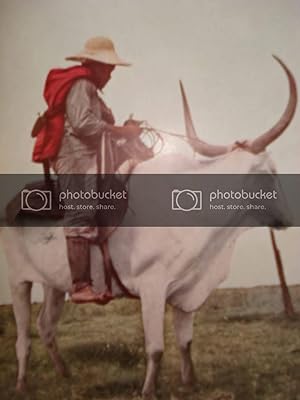 Seller image for Article: Wonder Island of the Amazon Delta; on Marajo Cowboys Ride Oxen, Tree-Dwelling Animals Throng Dense Forests. for sale by Hammonds Antiques & Books