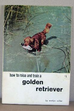 HOW TO RAISE AND TRAIN A GOLDEN RETRIEVER