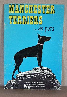 MANCHESTER TERRIERS AS PETS