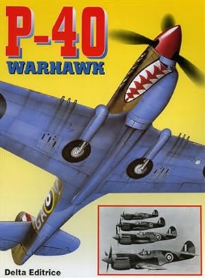 Immagine del venditore per P-40 Warhawk. venduto da FIRENZELIBRI SRL