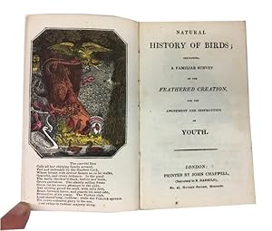 Natural History of Birds; Containing a Familiar Survey of Feathered Creation, for the Amusement a...