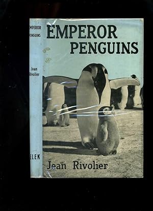 Emperor Penguins