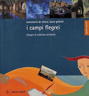 I Campi Flegrei