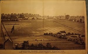 OCEAN COUNTY: WEST CREEK CRANBERRY PLANTATION