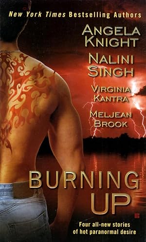 Seller image for Burning Up for sale by Kayleighbug Books, IOBA