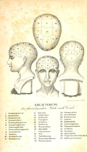 Seller image for Grundzge der Phrenologie oder Anleitung zum Studium dieser Wissenschaft dargestellt in fnf Vorlesungen von R.R. Noel, Esq. for sale by Antiq. F.-D. Shn - Medicusbooks.Com