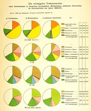 Imagen del vendedor de Das Deutsche Reich in gesundheitlicher und demographischer Beziehung. Festschrift, den Teilnehmern am XIV. Internationalen Kongresse fr Hygiene und Demographie Berlin 1907. a la venta por Antiq. F.-D. Shn - Medicusbooks.Com