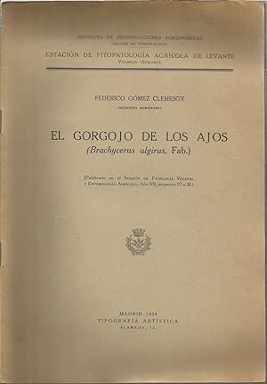 EL GORGOJO DE LOS AJOS (BRACHYCERUS ALGIRUS Fab)(Publicado anteriormente en Boletín Patología Veg...