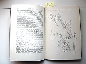 Die Alcyonarien des Trondhjemsfjordes. III. Pennatulacea und IV. Biogeographische Übersicht.