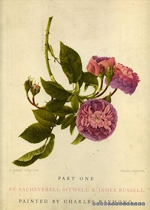 Old Garden Roses : Part One