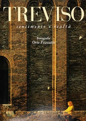 Seller image for Treviso. Sentimento e realt for sale by Libro Co. Italia Srl
