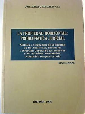 La Propiedad Horizontal : Problematica Judicial.