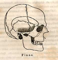 Bild des Verkufers fr Ueber die Schdel der Griechen und Finnen (pp.388-396, 3 Holzschnitte). zum Verkauf von Antiq. F.-D. Shn - Medicusbooks.Com