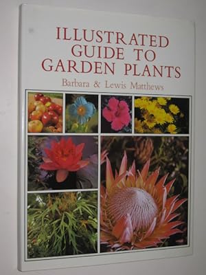 Illustrated Guide To Garden Plants