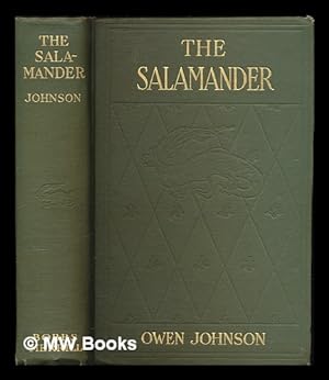 Imagen del vendedor de The Salamander, by Owen Johnson . with Illustrations by Everett Shinn a la venta por MW Books Ltd.