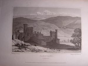 Image du vendeur pour Original Single Engraving from Views of the Seats of Noblemen and Gentlemen in England Scotland and Wales. By J.P. Neale. Published Between 1818 - 1829. mis en vente par Rostron & Edwards