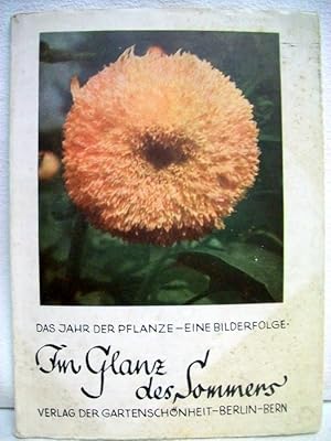 Im Glanz des Sommers : [Vorw.: Oskar Kühl] Das Jahr der Pflanze ; [2]