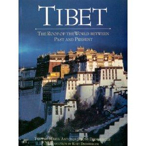 TIBET - The Roof of the World between Past and Present.