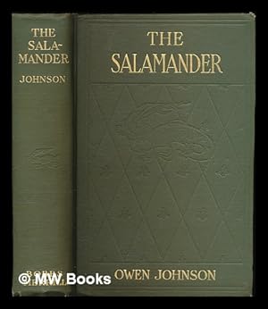 Imagen del vendedor de The Salamander, by Owen Johnson . with Illustrations by Everett Shinn a la venta por MW Books