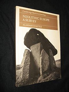 Bild des Verkufers fr Neolithic Europe A Survey zum Verkauf von Abraxas-libris