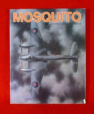 Mosquito