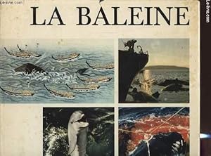 Immagine del venditore per LA BALEINE venduto da Le-Livre
