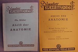Imagen del vendedor de Abriss der Anatomie a la venta por Buchantiquariat Uwe Sticht, Einzelunter.