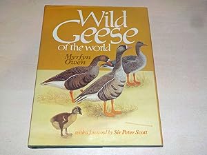 Wild Geese of the World