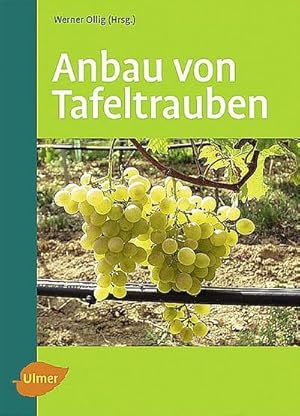 Bild des Verkufers fr Anbau von Tafeltrauben zum Verkauf von AHA-BUCH GmbH