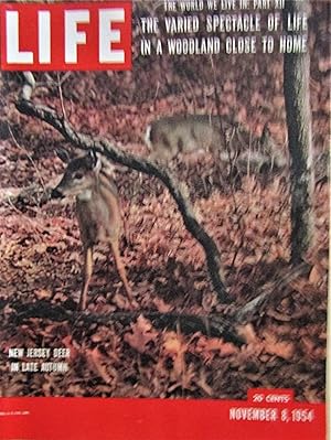 Imagen del vendedor de Life Magazine November 8, 1954 Cover: New Jersey Deer in Late Autumn a la venta por Moneyblows Books & Music