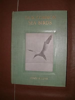Image du vendeur pour Our Common Sea-Birds: Cormorants, Terns, Gulls, Skuas, Petrels and Auks mis en vente par Beach Hut Books