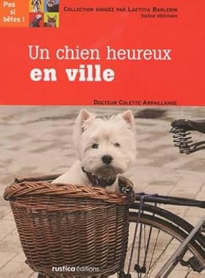 Un chien heureux en ville