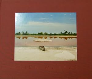 Seller image for Fried Waters for sale by Derringer Books, Member ABAA