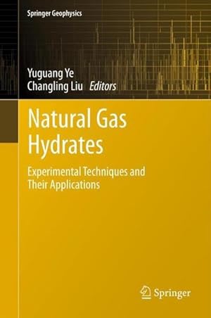 Imagen del vendedor de Natural Gas Hydrates : Experimental Techniques and Their Applications a la venta por AHA-BUCH GmbH