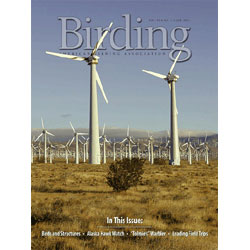 Seller image for Bird Collisions at Communication Towers and Wind Turbines. Birding Magazine Vol 43 No 1, 2011 for sale by Buteo Books