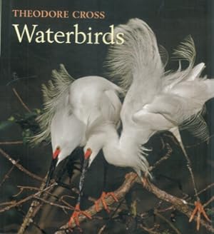 Imagen del vendedor de Waterbirds. a la venta por Libreria Piani