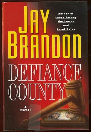 Seller image for DEFIANCE COUNTY for sale by Gibson's Books