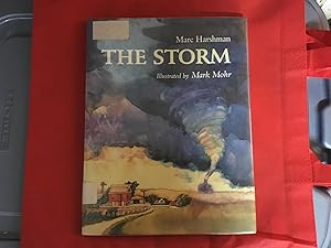 Seller image for THE STORM for sale by Betty Mittendorf /Tiffany Power BKSLINEN