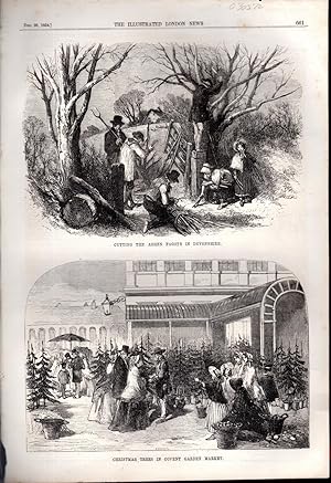 Bild des Verkufers fr ENGRAVING: "Cutting the Ashen Fagots in Devonshire & Christmas Trees in Covent Garden Market". engravings from The Illustrated London News, December 23, 1854 (Christmas Supplement) zum Verkauf von Dorley House Books, Inc.